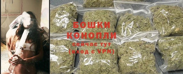 шишки Алзамай