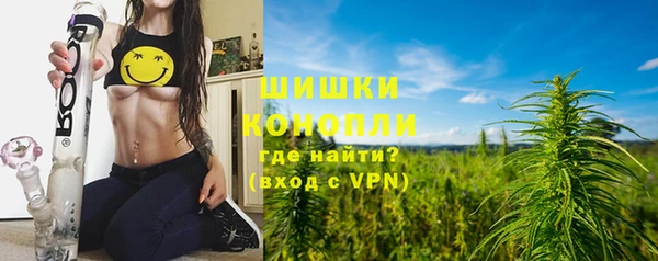 шишки Алзамай