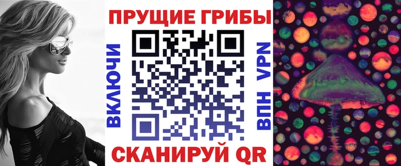 Псилоцибиновые грибы мицелий  Пугачёв 
